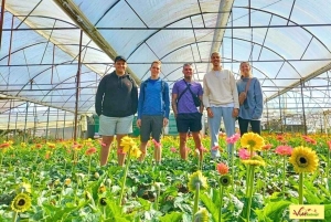 Visite en petit groupe de la campagne de Dalat et de la cascade de Pongour