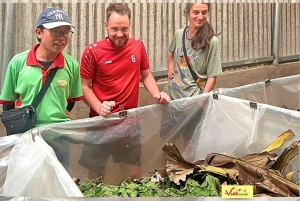 Visite en petit groupe de la campagne de Dalat et de la cascade de Pongour