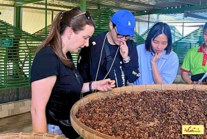 Visite en petit groupe de la campagne de Dalat et de la cascade de Pongour