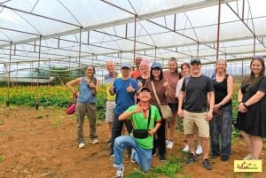 Visite en petit groupe de la campagne de Dalat et de la cascade de Pongour