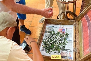 Visite en petit groupe de la campagne de Dalat et de la cascade de Pongour