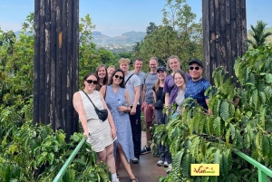 Visite en petit groupe de la campagne de Dalat et de la cascade de Pongour