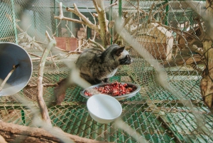 Dalat Easy Rider Motorbike Loop Dagstur