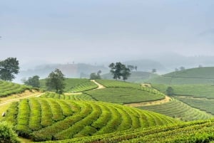 Dalat Easy Rider Motorbike Loop Dagstur