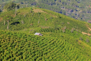 Dalat Easy Rider Motorbike Loop Dagstur