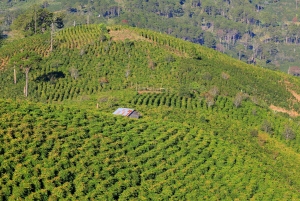 Dalat Easy Rider Motorbike Loop Dagstur