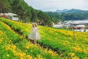 Далат: развлечения и ферма с местным экскурсоводом