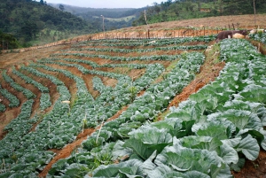 Dalat: Guided Countryside Loop Motorcycle Day Tour