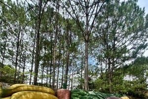 ダラット半日アドベンチャー：午前と午後のオプションをご用意しております