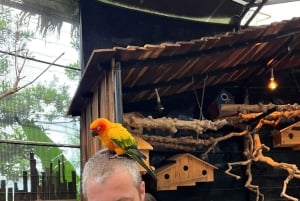 ダラット半日アドベンチャー：午前と午後のオプションをご用意しております