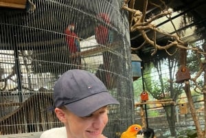 ダラット半日アドベンチャー：午前と午後のオプションをご用意しております