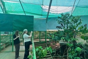 ダラット半日アドベンチャー：午前と午後のオプションをご用意しております