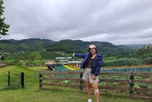 ダラット半日アドベンチャー：午前と午後のオプションをご用意しております