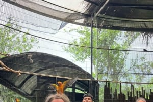 ダラット半日アドベンチャー：午前と午後のオプションをご用意しております