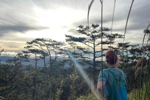 Dalat: Caminhada ao nascer do sol e experiência de caça às nuvens