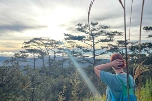 Dalat: Caminhada ao nascer do sol e experiência de caça às nuvens