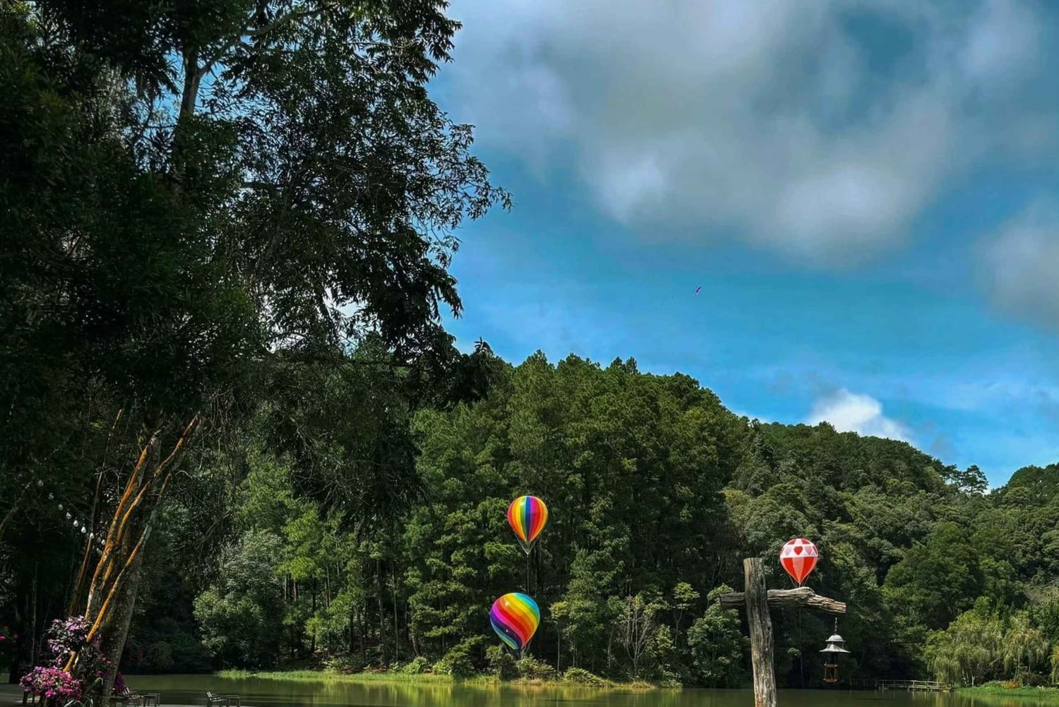 Dalat: tour instagramável com café secreto