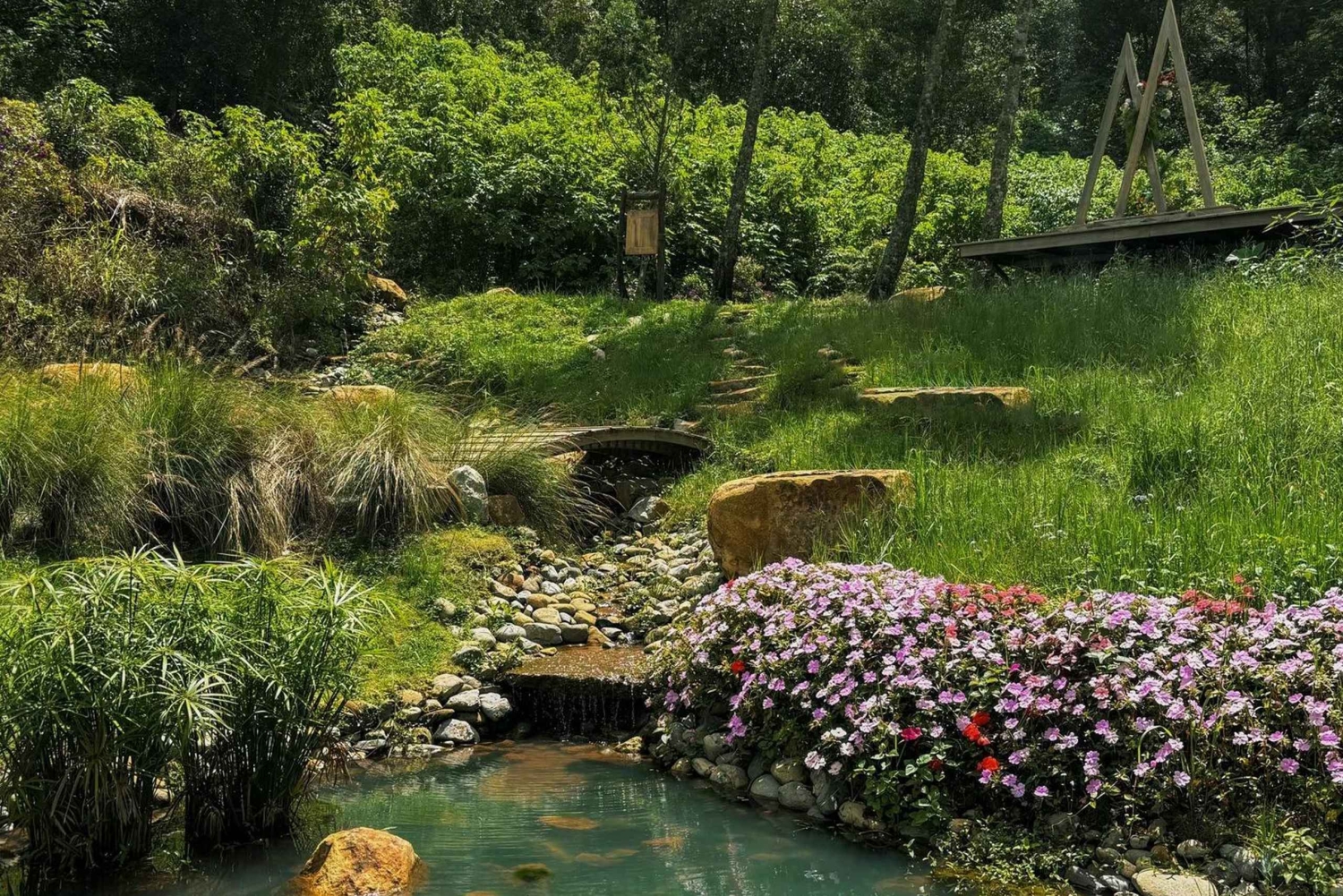 Dalat: tour instagramável com café secreto