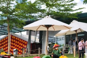 Dalat: Mario Kart - Mongo Land - Campagna Piccolo Gruppo