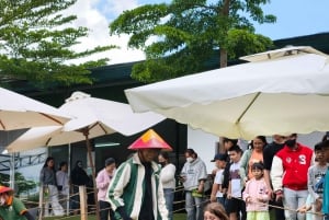 Dalat: Mario Kart - Mongo Land - Campagna Piccolo Gruppo