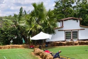 Dalat: Mario Kart - Mongo Land - Campagna Piccolo Gruppo
