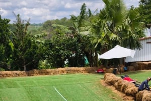 Dalat: Mario Kart - Mongo Land - Campagna Piccolo Gruppo