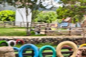 Dalat: Mario Kart - Mongo Land - Campagna Piccolo Gruppo