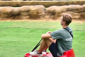 Dalat: Mario Kart - Mongo Land - Campagna Piccolo Gruppo