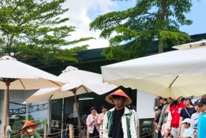 Dalat: Mario Kart - Mongo Land - Campagna Piccolo Gruppo