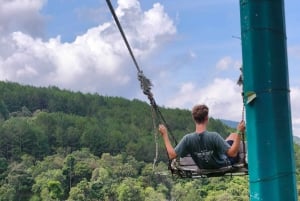 Dalat: Mario Kart - Mongo Land - Campagna Piccolo Gruppo