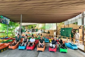 Dalat: Mario Kart - Mongo Land - Campagna Piccolo Gruppo