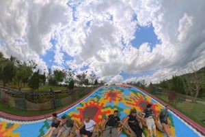 Dalat: Mario Kart - Mongo Land - Campagna Piccolo Gruppo