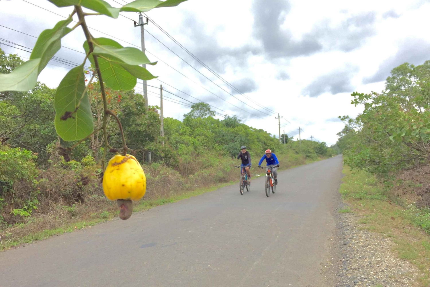 Dalat: Cykeltur i Nha Trang med picknicklunch