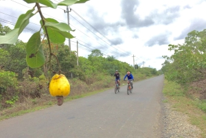 Dalat: Cykeltur i Nha Trang med picknicklunch