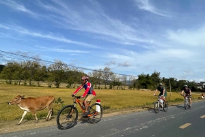 Dalat: Cykeltur i Nha Trang med picknicklunch