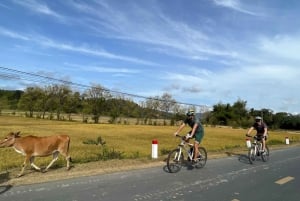 Dalat: Cykeltur i Nha Trang med picknicklunch