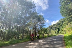 Dalat: Cykeltur i Nha Trang med picknicklunch