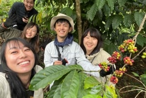 Dalat Organic farm, discover how to make specialty coffee