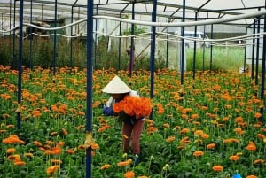 Dalat: Private Tour with Elephant Waterfall and Pagoda