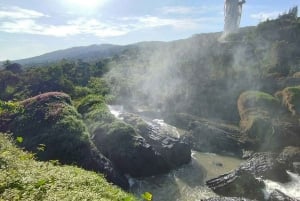 Dalat: Private Tour with Elephant Waterfall and Pagoda