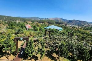 Dalat: Private Tour with Elephant Waterfall and Pagoda