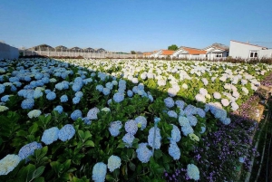 Dalat: Private Tour with Elephant Waterfall and Pagoda