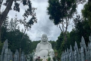 Dalat: Private Tour with Elephant Waterfall and Pagoda