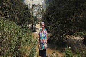 Dalat: Private Tour with Elephant Waterfall and Pagoda