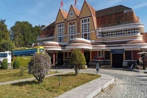 Dalat: Private Tour with Elephant Waterfall and Pagoda