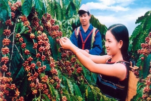 Dalat: Private Tour with Elephant Waterfall and Pagoda