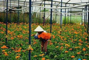 Dalat: Tour particular com a Cachoeira Elephant e o Pagode