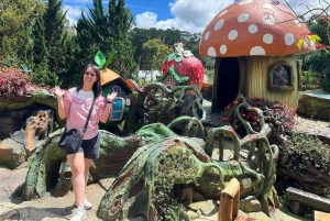 Dalat: Tour particular com a Cachoeira Elephant e o Pagode