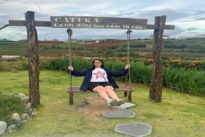 Dalat: Tour particular com a Cachoeira Elephant e o Pagode