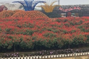 Dalat: Tour particular com a Cachoeira Elephant e o Pagode
